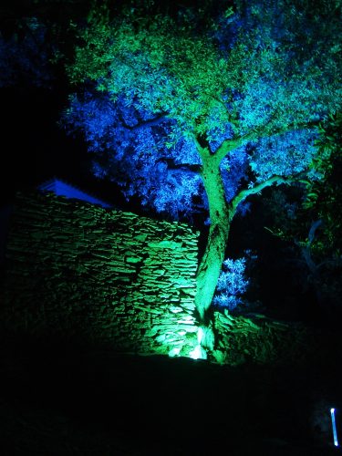 _DESTAQUE_DSC03486